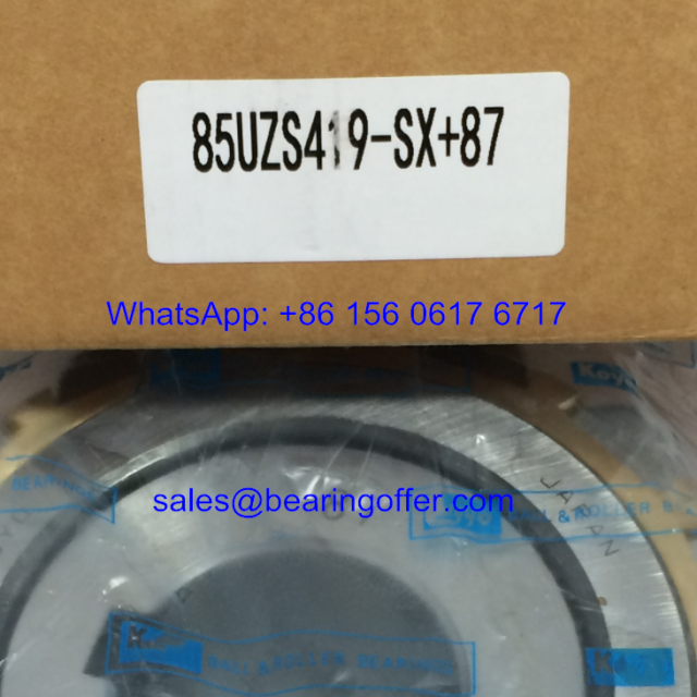 85UZS419SX-87 Eccentric Bearing 85UZS419-SX-87 Roller Bearing - Stock for Sale
