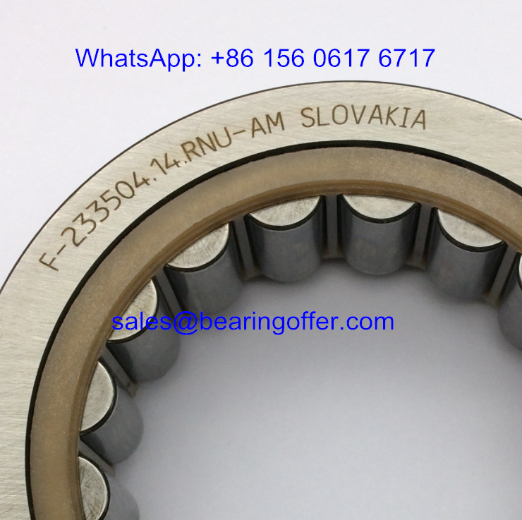 F-233504.14.RNU-AM Automobile Bearing 42x67x22 Roller Bearing F-233504.14 - Stock for Sale