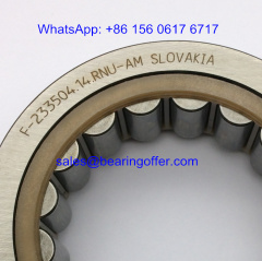 F-233504.14.RNU-AM Automobile Bearing 42x67x22 Roller Bearing F-233504.14 - Stock for Sale