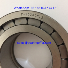 F-202808.03.NUP Hydraulic Pump Bearing F-202808.3 Roller Bearing - Stock for Sale