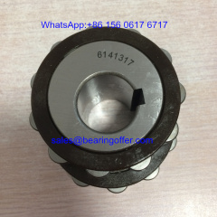 6141317YSX Eccentric Bearing 61413-17YSX Roller Bearing - Stock for Sale