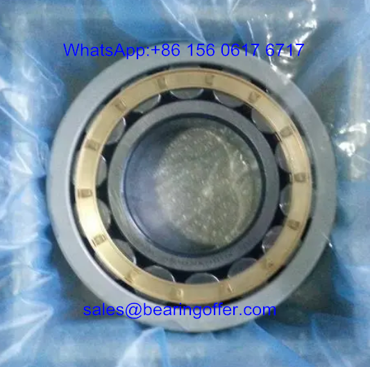 2TS2-7MP-NU214 Resin Insulated Bearing 70x125x24 Roller Bearing - Stock for Sale