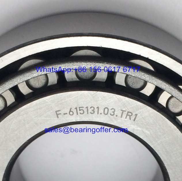 F-615131.03 Differential Bearing 30*62*17 Roller Bearing - Stock for Sale