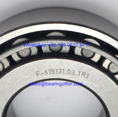 F-615131.03.TR1 Automobile Bearing 30x62x17 Roller Bearing - Stock for Sale