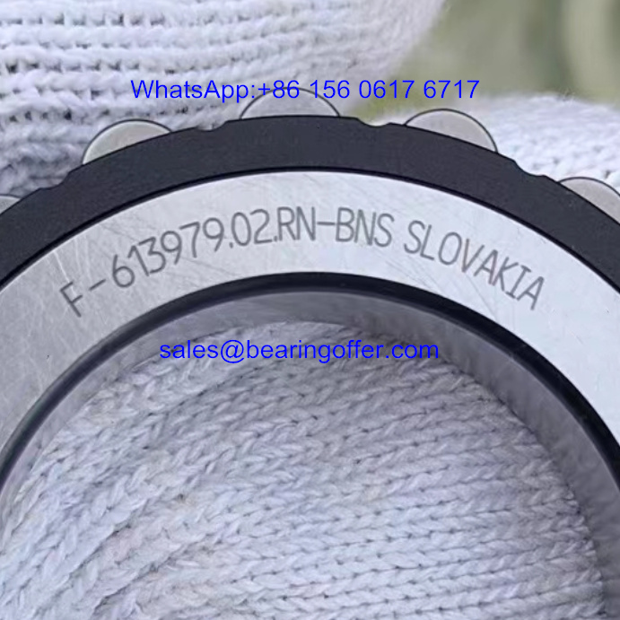 F-613979 Rolling Bearing F-613979.02 Roller Bearing - Stock for Sale