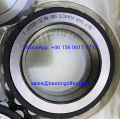 F-613981.02 Gearbox Bearing F-613981 Roller Bearing - Stock for Sale