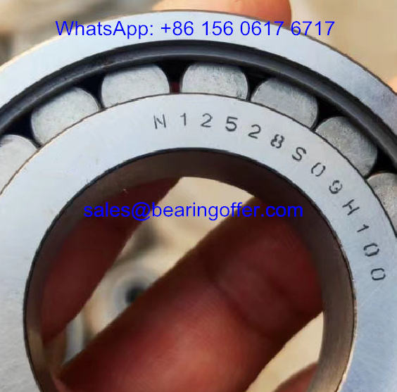 N12528S09H100 Gearbox Bearing N.12528.S09.H100 Roller Bearing - Stock for Sale
