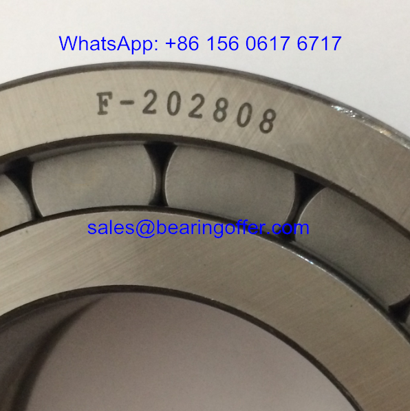 F-202808.04.NUP Hydraulic Pump Bearing F-202808.4 Roller Bearing F-202808.04 - Stock for Sale