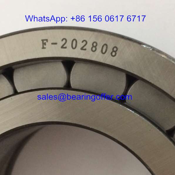 F-202808.02.NUP Hydraulic Pump Bearing F-202808.02 Roller Bearing - Stock for Sale