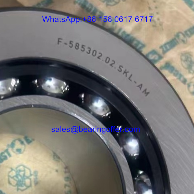 F-585302.02.SKL-H95 Differential Bearing F-585302.02.SKL Ball Bearing - Stock for Sale