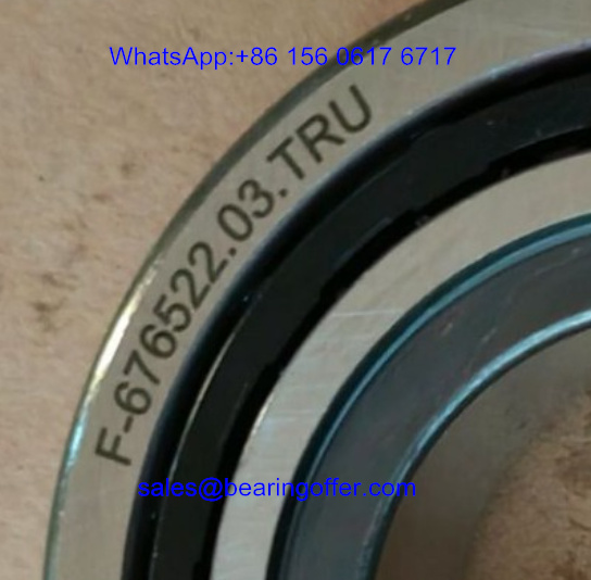 F-676522.03.TRU Gearbox Bearing F-676522.03 Roller Bearing F-676522 - Stock for Sale