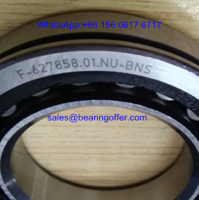 F-627858.01.NU Gearbox Bearing F-627858.01 Roller Bearing - Stock for Sale