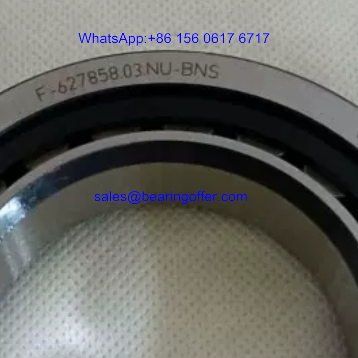 F-627858.03.NU Gearbox Bearing 55x90x18 Roller Bearing - Stock for Sale