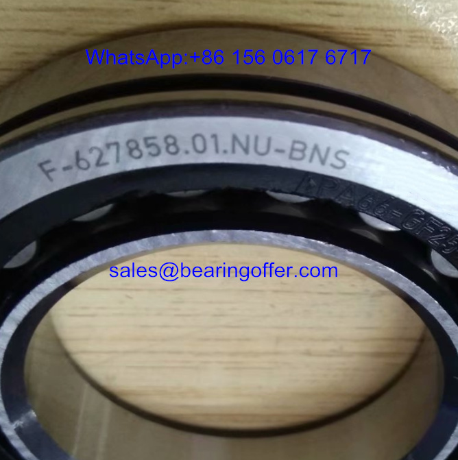 F-627858.01.NU-BNS Gearbox Bearing 55X90X18 Auto Bearing - Stock for Sale