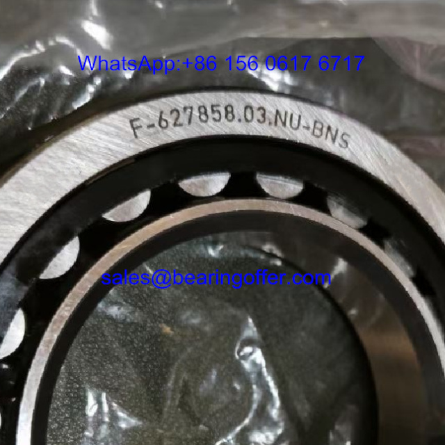 F-627858.03.NU-BNS Gearbox Bearing 55*90*18 Roller Bearing - Stock for Sale
