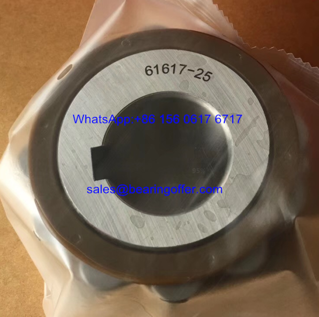 61617-25YRX2 Eccentric Bearing 6161725 Roller Bearing - Stock for Sale