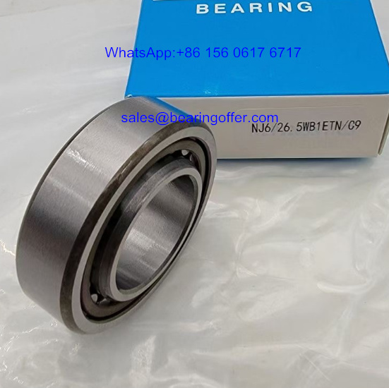 NJ6/26.5WB1ETN/C9 Auto Bearings NJ6/26.5WB1 Roller Bearing NJ6/26.5 - Stock for Sale