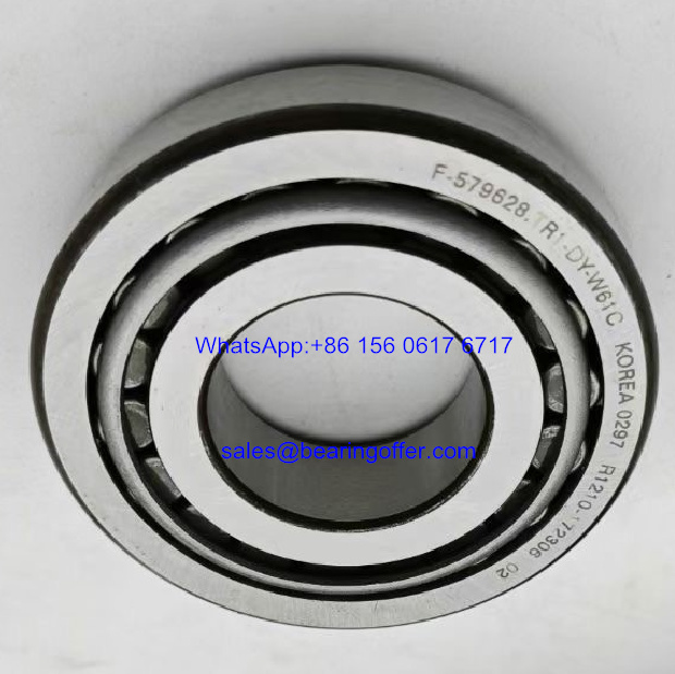 F-579628.TR1-DY-W61C Gearbox Bearing F-579628 Roller Bearing - Stock for Sale