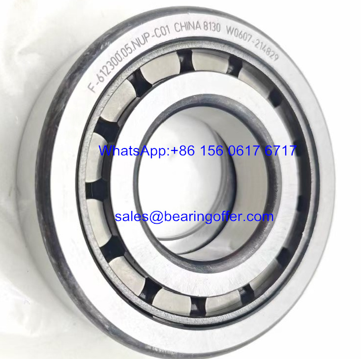 F-612300.05.NUP Automotive Bearings F-612300.05 Roller Bearing - Stock for Sale
