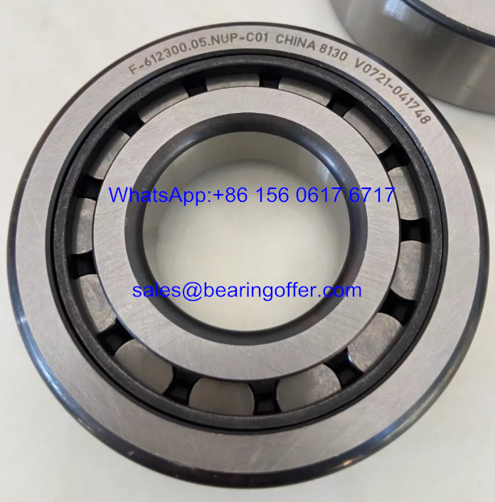 F-612300.05.NUP-C01 Automotive Bearing 33x75x19 Roller Bearing - Stock for Sale