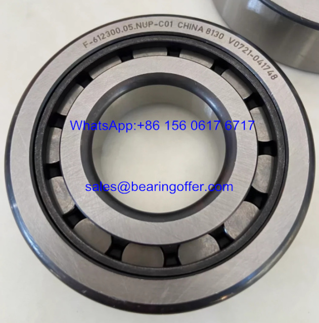 F-612300.05.NUP-C01 Automotive Bearing 33x75x19 Roller Bearing - Stock for Sale