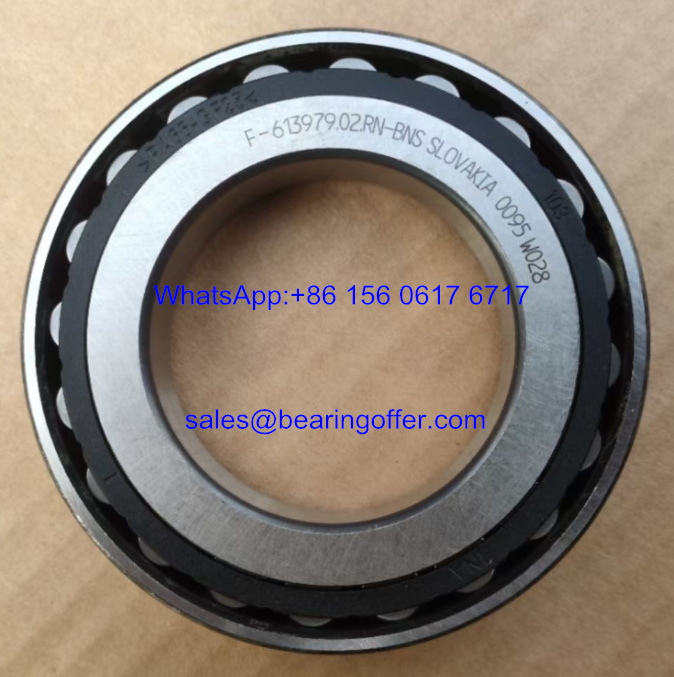F-613979 Rolling Bearing F-613979.02 Roller Bearing - Stock for Sale