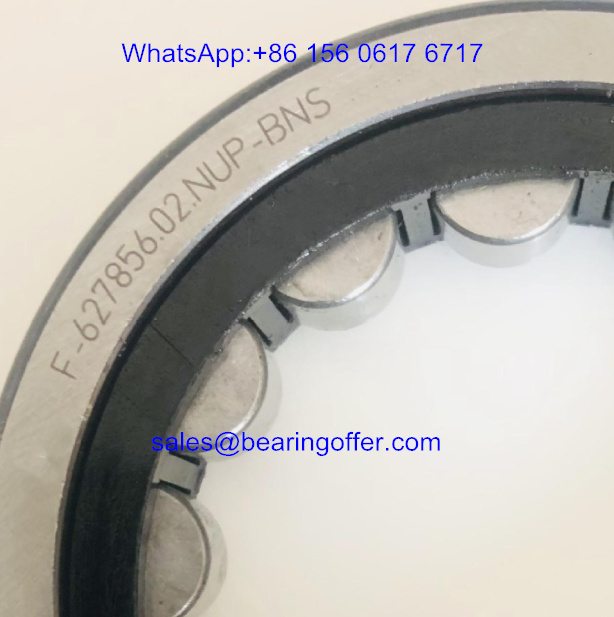 F-627856.02.NUP-BNS Gearbox Bearing F-627856.02 Roller Bearing - Stock for Sale
