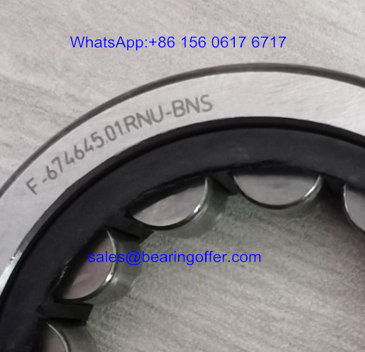 F-674645.01.RNU-BNS Reducer Bearing 37*62*15 Roller Bearing F-674645.01 - Stock for Sale