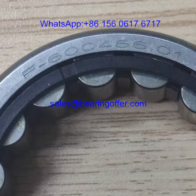 F-600466.01 Gearbox Bearing 33*59.6*15 Roller Bearing F-60046601 - Stock for Sale