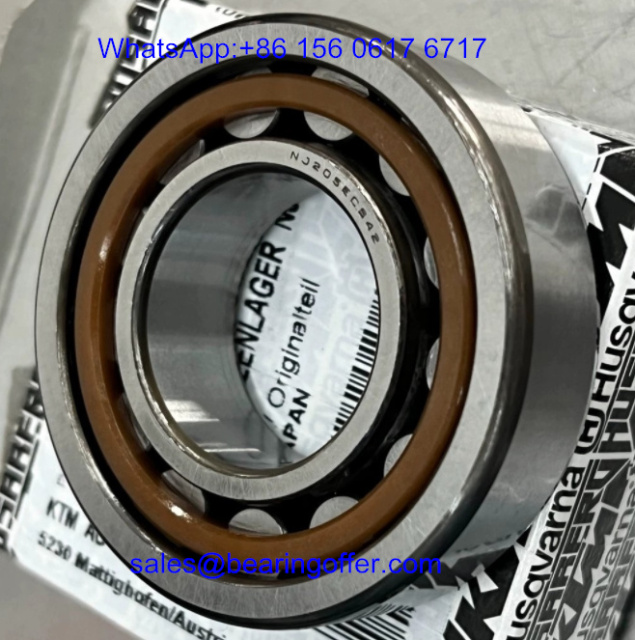 NJ205ECS42 Transmission Bearing NJ205ECS42 Roller Bearing - Stock for Sale