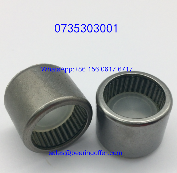0735303001 Auto Transmission Bearing 50*58*25 Roller Bearing - Stock for Sale