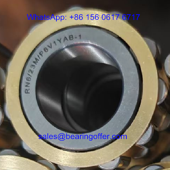 RN6/23M/P6V1YAB-1 Gearbox Bearing 23x39x21 Rolling Bearing - Stock for Sale