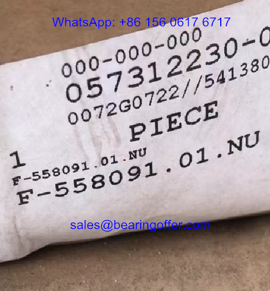 F-558091.01.NU Cylindrical Roller Bearing 130x200x69 Rolling Bearing - Stock for Sale