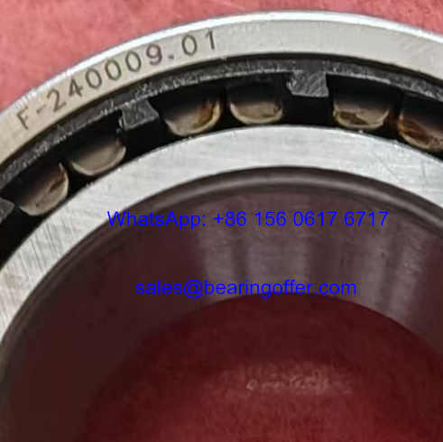 F-240009.01 Transmission Bearing F-240009.1 Roller Bearing F-240009 - Stock for Sale