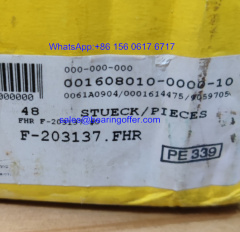 F-203137 Auto Shaft Bearing F-203137.FHR Roller Bearing - Stock for Sale