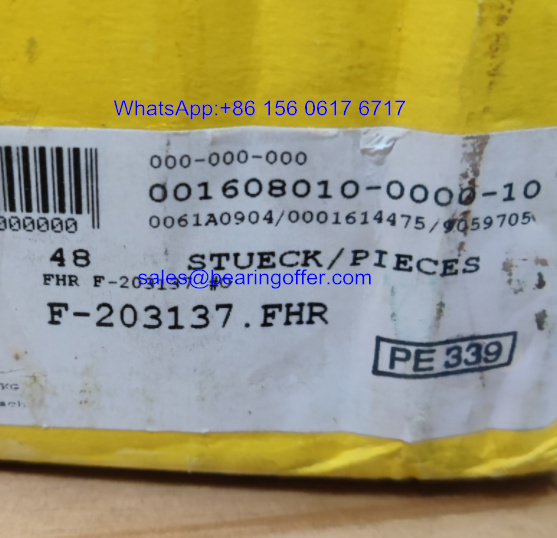 F-203137 Auto Shaft Bearing F-203137.FHR Roller Bearing - Stock for Sale