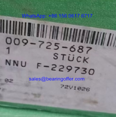 F-229730 Cylindrical Roller Bearing F-229730.NNU Rolling Bearing - Stock for Sale