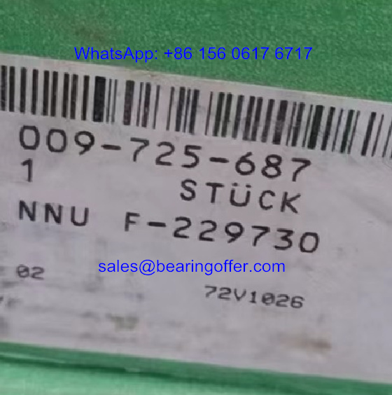 F-229730 Cylindrical Roller Bearing F-229730.NNU Rolling Bearing - Stock for Sale