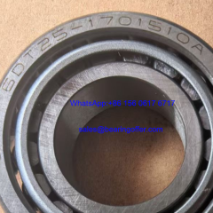 6DT25-1701510A BYD Transmission Bearing 6DT251701510A Roller Bearing - Stock for Sale
