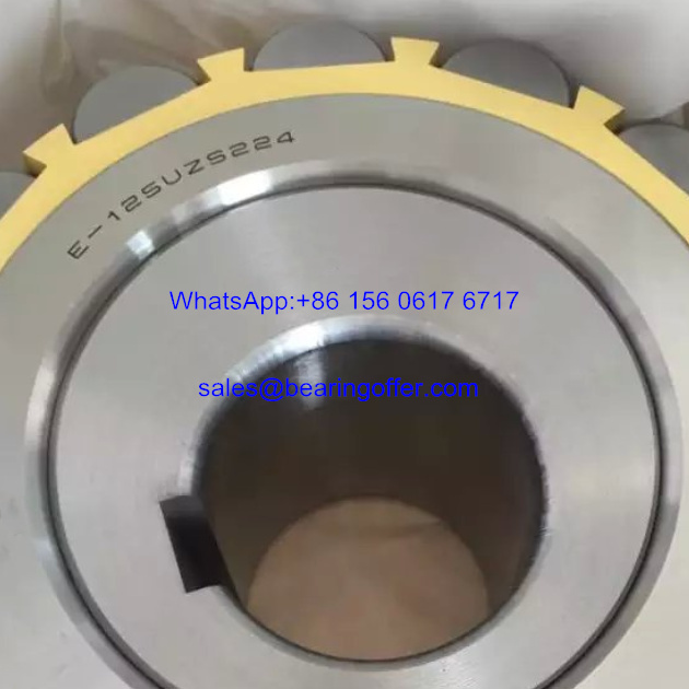 E-125UZS2224 Cylindrical Roller Bearing E125UZS2224 Rolling Bearing - Stock for Sale
