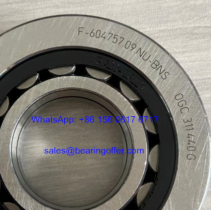 F-604757.09.NU-BNS Automotive Bearing 31*72*18 Roller Bearing F-604757.09 - Stock for Sale