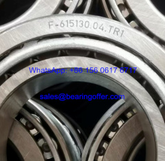 F-615130.04.TR1 Automobile Bearing F-615130.04 Roller Bearing - Stock for Sale