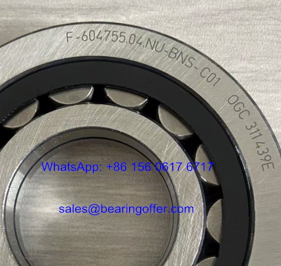F-604755.04.NU-BNS-C01 Automotive Bearing 35x80x18 Roller Bearing F-604755.04 - Stock for Sale