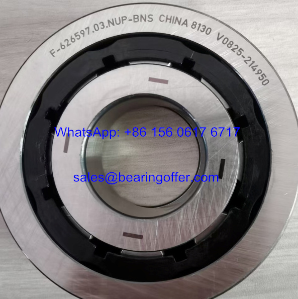 F-626597.03.NUP-BNS Automotive Bearing 30.35x80x21 Roller Bearing F-626597.03 - Stock for Sale