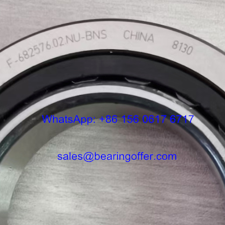 F-682576.02.NU-BNS Automobile Bearing 50x85x16/18 Roller Bearing F-682576.02 - Stock for Sale