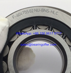 F-604755.02.NU Transmisssion Bearing F-604755.02 Roller Bearing F-604755 - Stock for Sale