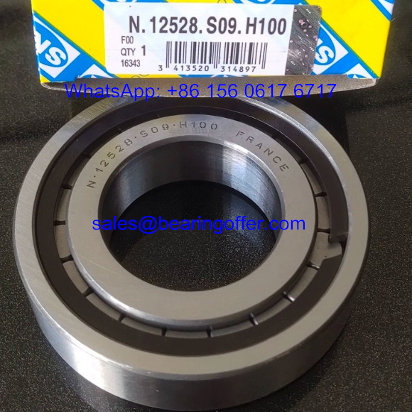 N12528S09H100 Gearbox Bearing N.12528.S09.H100 Roller Bearing - Stock for Sale
