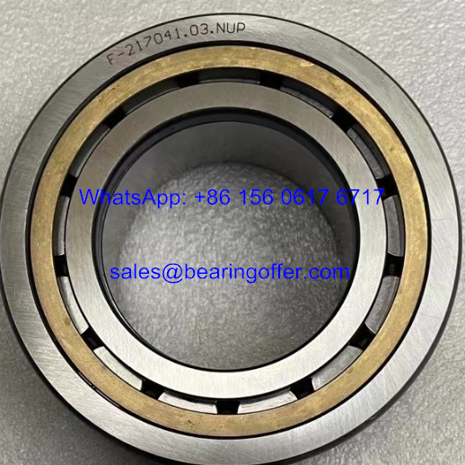 F-217041.03.NUP Hydraulic Pump Bearing 55x100x31 Roller Bearing F-217041 - Stock for Sale