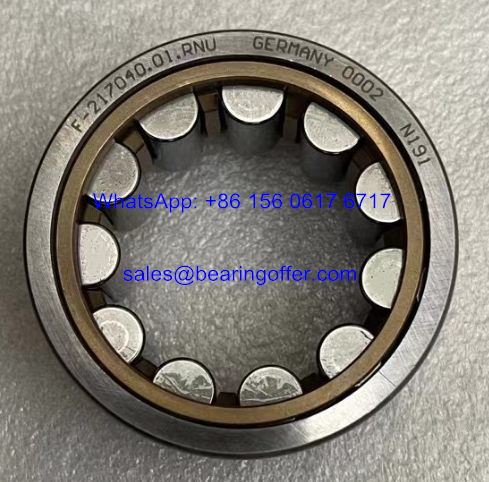 F-217040.01.RNU Hydraulic Pump Bearing 38.16x63x27 Roller Bearing - Stock for Sale