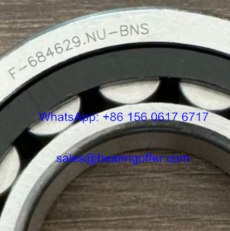 F-684629.NU-BNS Gearbox Bearing 40*80*18 Roller Bearing F-684629 - Stock for Sale